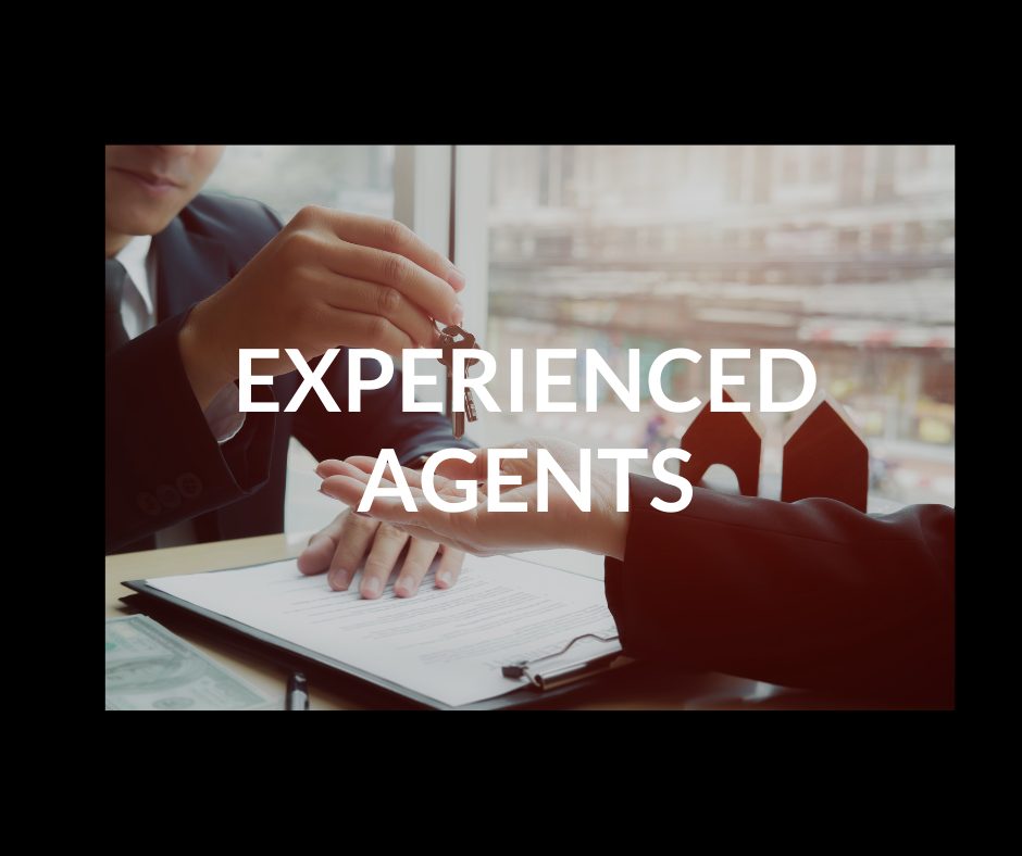 website experienced agent